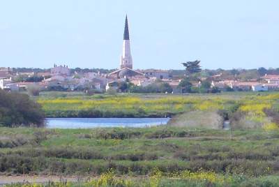Camping Ile de Ré : Rendez vous à Ars en Ré pour y voir son clocher en Charente Maritime